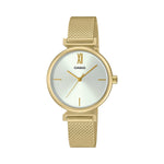 Standard Collection Womens WR - LTP-2023VMG-7CDR