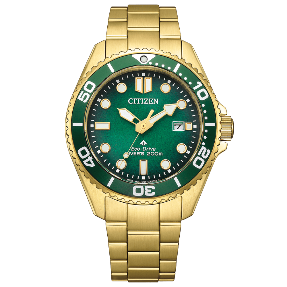 Citizen - Promaster Divers 200m Eco-Drive - BN0262-59W
